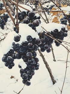 雪中野果