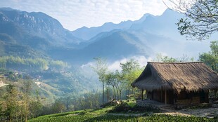 山中茅草屋