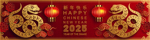 蛇年纹理图片