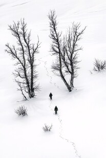 雪上人影