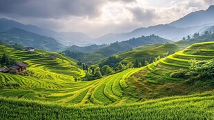 宽幅梯田风景