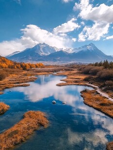 蓝色湖水金色胡杨雪山