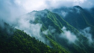 雨季神农架