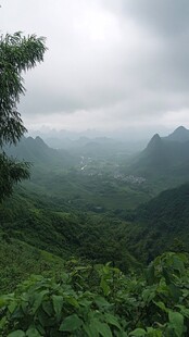 茶山竹海远眺