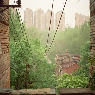 雨后的院子