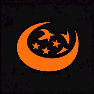 夜星logo