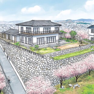 日本樱花庭院建筑