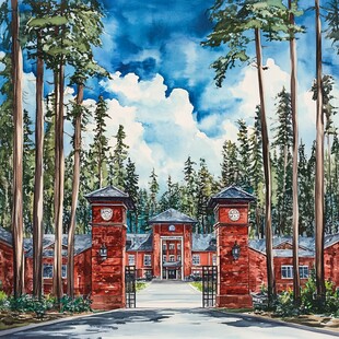 斯坦福大学插画水彩