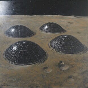 阋神星的卫星迪斯诺米亚表面