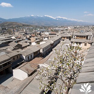 俯瞰杏花村