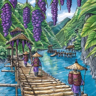 采摘葡萄插画
