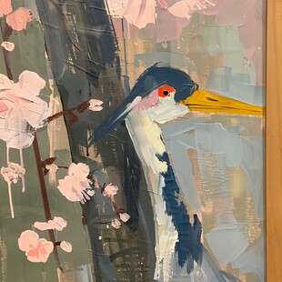 鸟插画创作