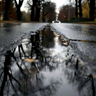 秋雨街道落叶