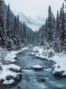 雪山森林河流