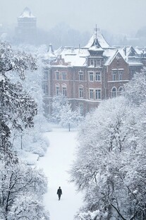 大学雪景