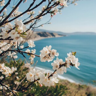 面向大海春暖花开