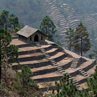 爱情天梯故事场景