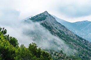 桌山云雾