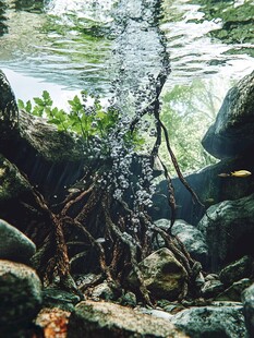 水纹造景