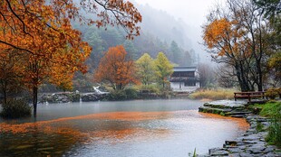 雨中秋色