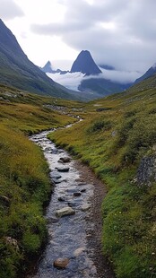 高山下的溪流