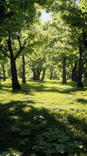 绿色治愈系森林草地