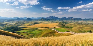 梯田宽幅风景