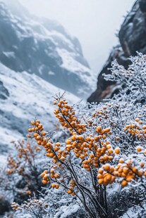 云雾雪景峡谷沟壑