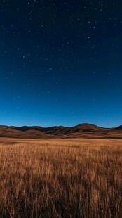 草原夜幕风景