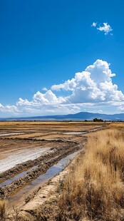 高原蓝天白云湿地