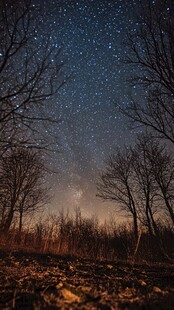 唯美星雨