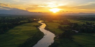 水稻田夕阳