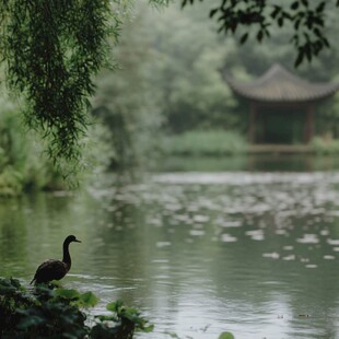 雨中茅家埠