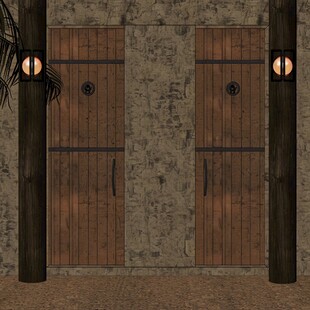 入户大门木门场景
