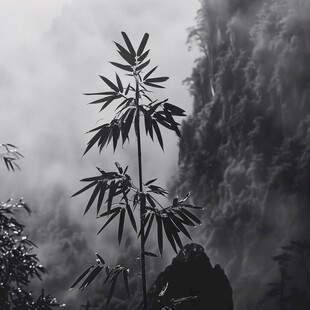 水墨幽篁