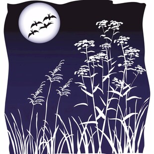 月色下的芦苇剪影