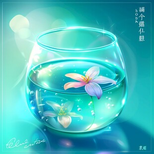 醡浆草插画