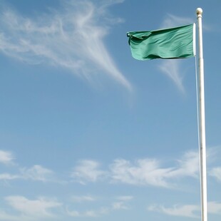 绿色的旗帜