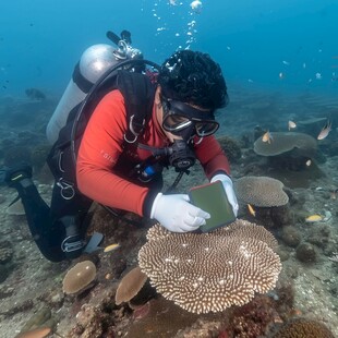 海洋生物学家