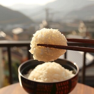 蒸饭速食早餐早饭食品