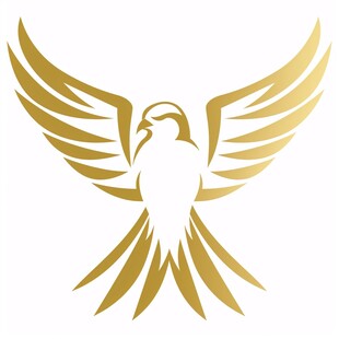 金鹰logo