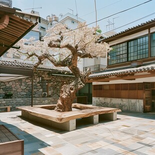 日本樱花庭院建筑