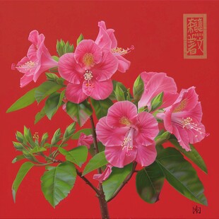 鼠绘杜鹃花