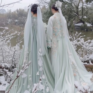 踏雪寻梅大袖衫