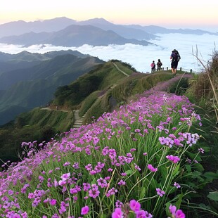 百里荒旅游