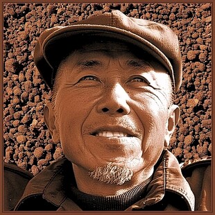 农民大叔ip头像