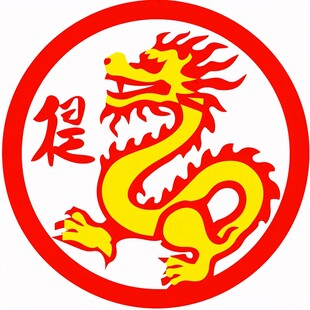 龙姓logo