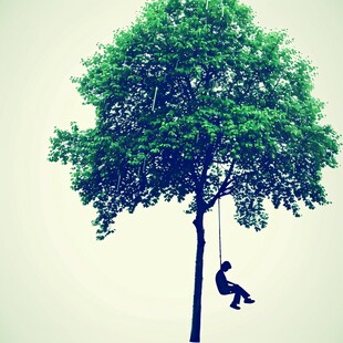 人与大树