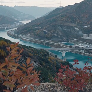 巫峡红叶