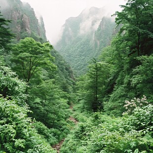 尧山在雨中